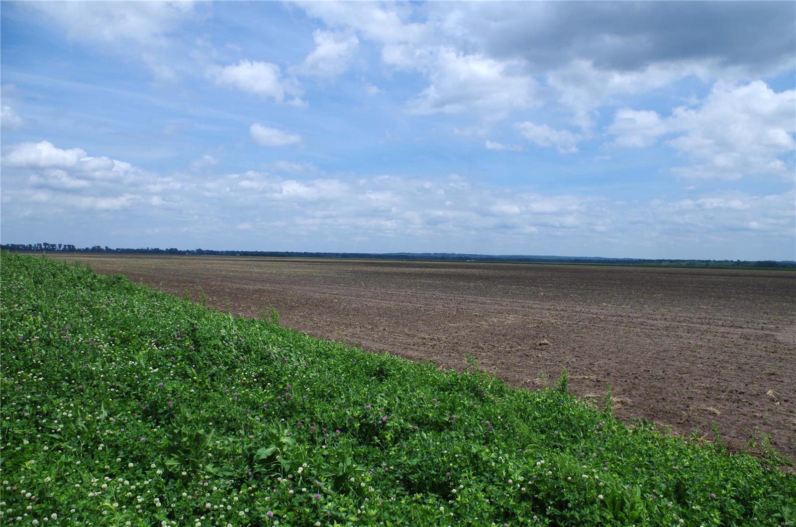 445 Acre, Old Monroe, Lincoln County, MO
Located near Old Monroe, MO in the Mississippi River Bottom lies this 445 Acres. This High Productive Farm features 408 acres tillable. This large property lies in one tract and is located in a levee protected District with extensive drainage systems throughout the farm. The soil types of the farm are mainly Carlow Silty Clay Loam, Kampville Silt Loam, and some Portage Clay. As well as an excellent Agricultural Investment this farm has Great Duck Hunting Potential being located in the Heart of Established Duck Clubs in the Mississippi Flyway. This property has easy access just off Highway 79, only 40 minutes from the St. Louis Metropolitan area. Appointment Only.