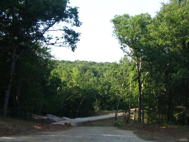 Enjoy the beauty and seclusion of these large wooded home sites just minutes from the amenities of the town center.  Several Lots Available.   Each lot offers public water, underground electricity and phone.  You will appreciate upgrades such as lake lots, walk out lots and a rolling natural setting.   You choose your own builder and plans and we will help protect your investment with community restrictions.   Come out and see all the activity and new construction at Bristol Ridge. You don’t want to miss out in touring these beautiful home sites. Additional Rooms: In Platted Subdv.