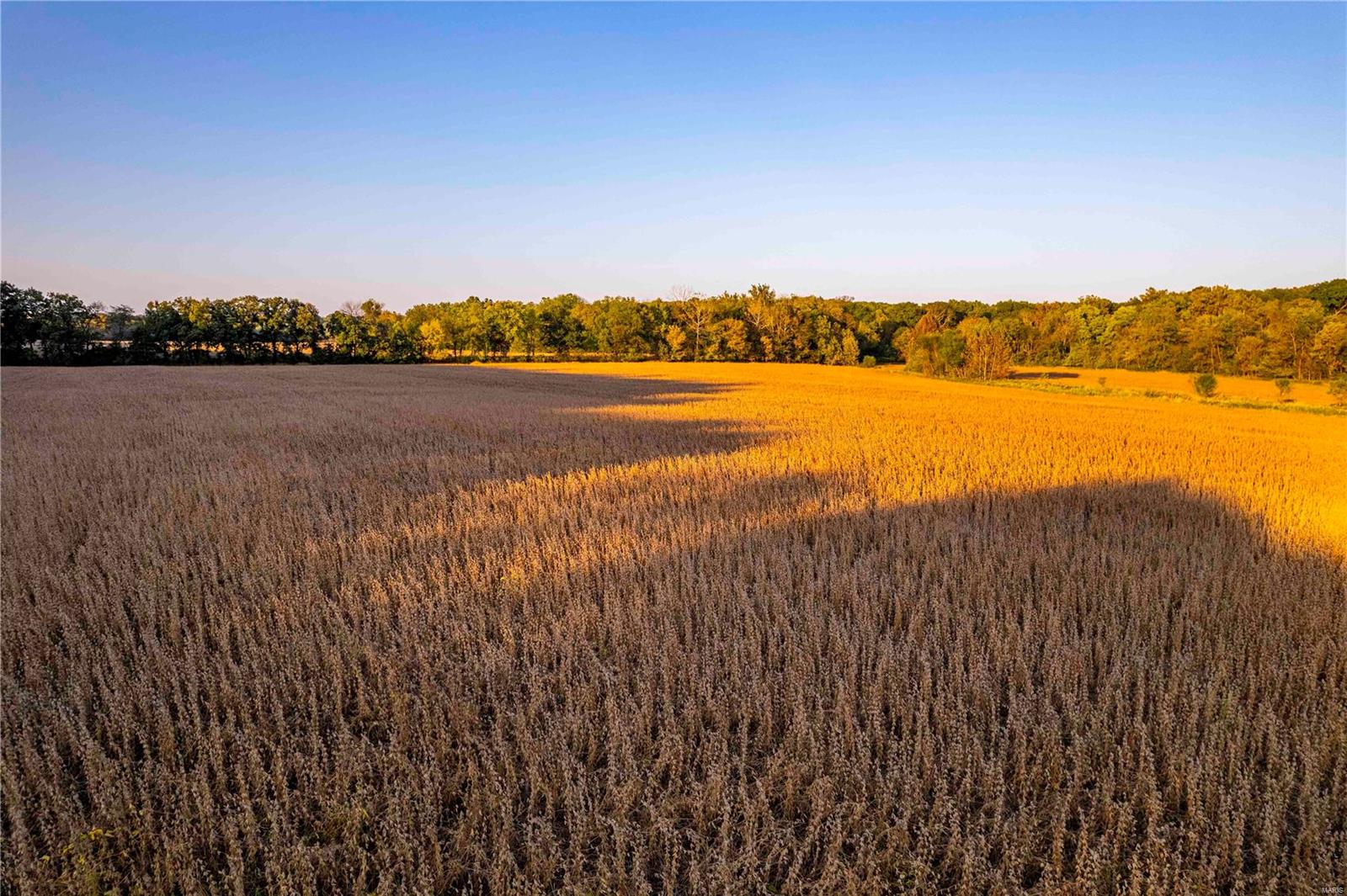 N/A - Farm