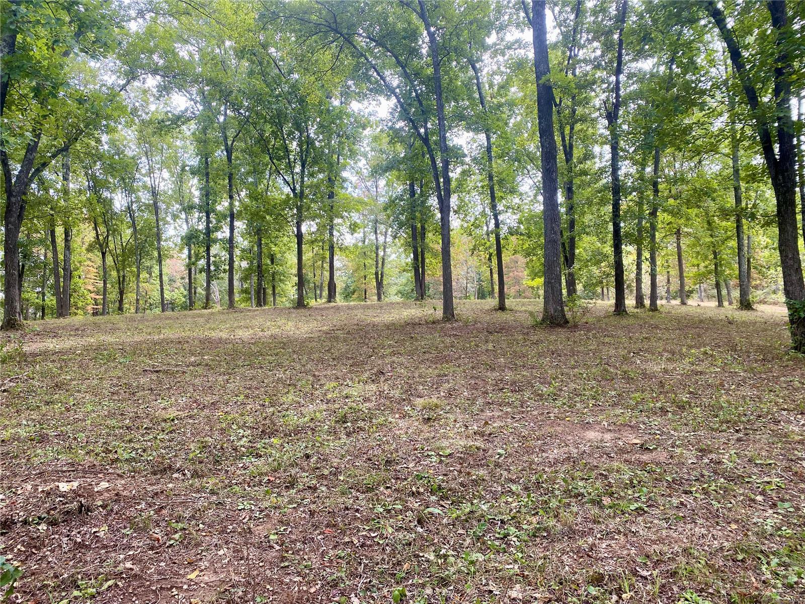 36.76 park-like acres at Whitetail Crossing! Tucked at south end of this sought after development, you'll find a wooded segway leading to a long ridge of towering hardwoods overlooking the valley below. Many trails throughout the property makes it very accessible and easy to view the multiple spots to build in an area rich with wildlife. The perfect setting for creating a private estate or potential to divide into multiple homesites - this property has tons to offer. Direct access to the blacktop, electric on-site and located just minutes off Hwy 67, just north of Fredericktown. This is a must-see!