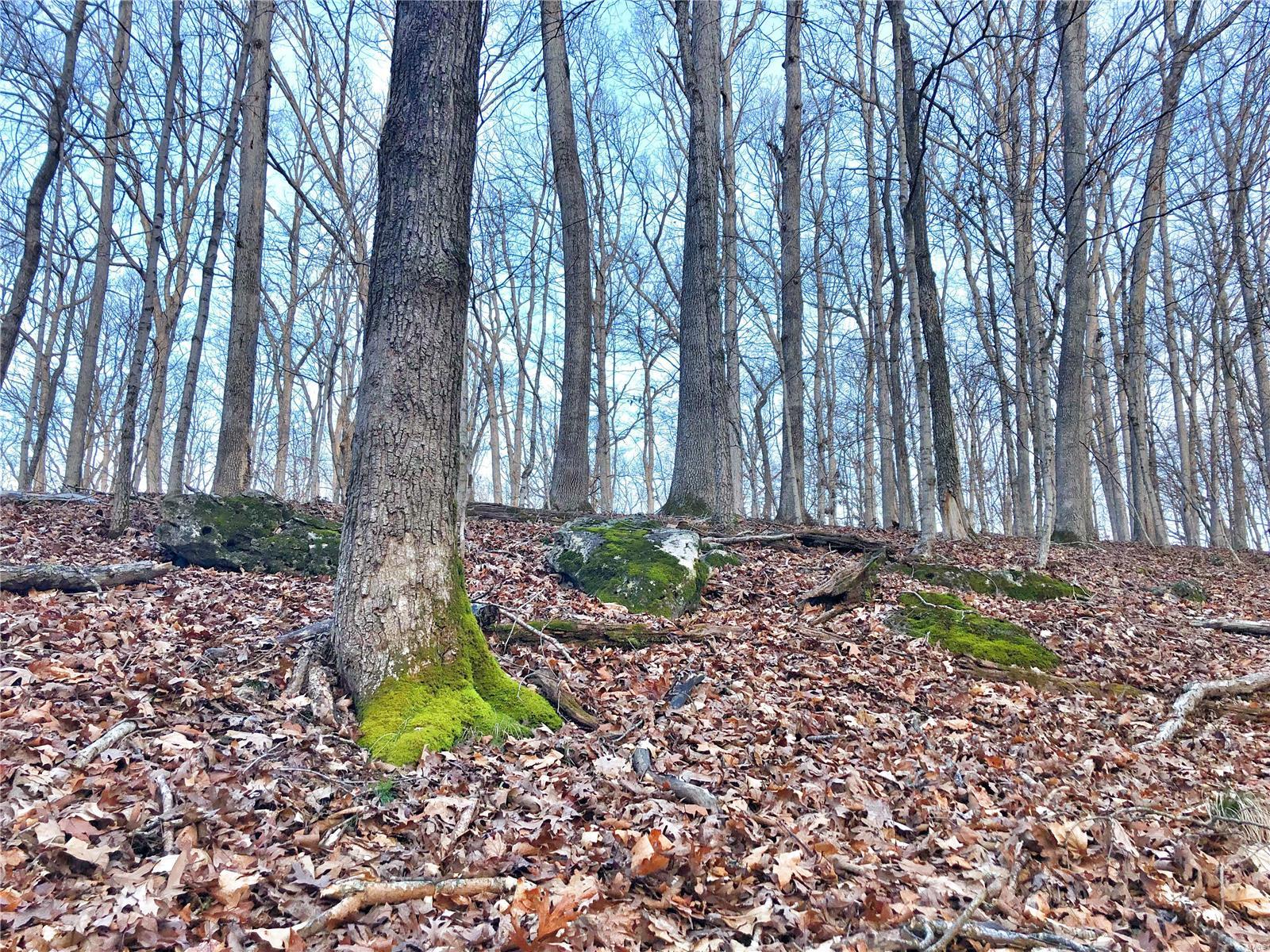 Callaway Valley - Land