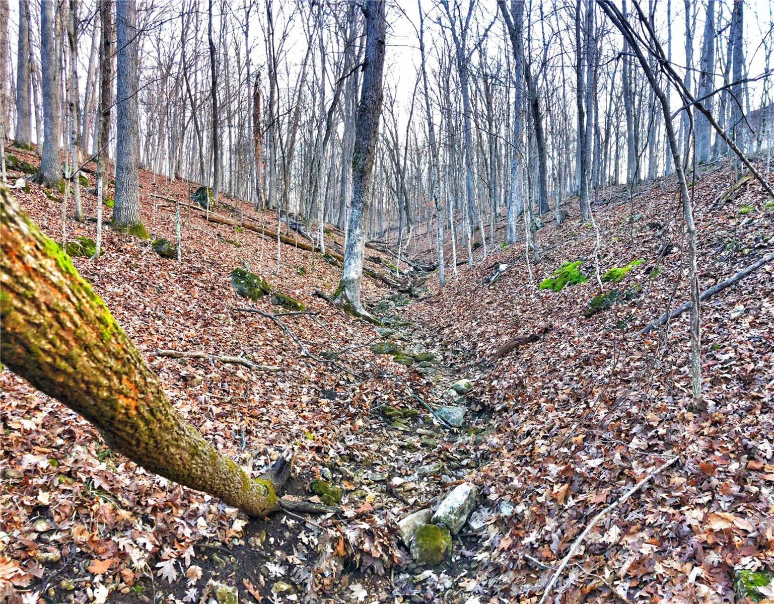Callaway Valley - Land