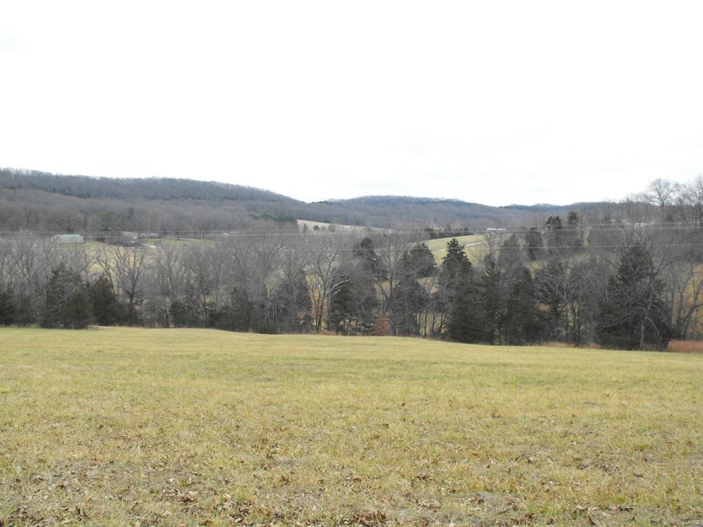 Rare opportunity to own 80 +/- acres within minutes of Hermann. This property lies on both sides of Hwy 100 W with numerous building sites on each side, and scenic views as well. Approximately 39 acres lies on the SE side of Hwy 100 with 14.2 acres open. Approximately 41 acres on the NW side of Hwy 100 with over 5 acres open and beautiful building sites. This one won't last long, so call today! * Note, sold 90.71 acres at closing.