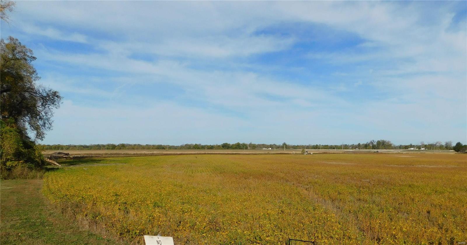 23.44+/- Acres.  Property is Mostly Level and Currently Being Farmed with Corn or Soybeans.  Small Amount of Large Cottonwood This 23.44+- fertile and mostly level acres in Chesterfield has a Multitude of Possible Uses!  Currently being farmed in Corn or Soybeans, it has potential for both Commercial and Residential development with appropriate building elevation.  Property has good road access with Blacktop on the South side and gravel on the North side.  Convenient Chesterfield location with quick commutes to Hwys 340 (Olive), 141 and 40/61.  Parkway Schools.