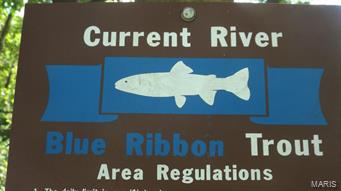 Located on the banks of the Blue Ribbon Trout section of the Current River, just below Montauk Trout Fishery, known as one of the best Trout fishing destinations in the state, is one of the few private properties within the Ozark Scenic National Riverways. This is an outstanding park like setting, with your own frontage on the Current River. Enjoy the 3 bedroom cabin that is finished with lofted, beamed ceilings, hardwood floors, & a rustic interior wood finish & trims that bring you in touch with the great outdoors. The remodeled cabin is top notch from top to bottom, with no detail overlooked! You can live your dream,right here on the banks of the Current River. Use as your own private retreat or combine that with nightly cabin rental while you are not here. Open your own Fly fishing guide or training/teaching school. Please take a look at the attached documents regarding the adjoining Tan Vat Reserve & Montauk. Call for a private, by appointment only showing of this property.