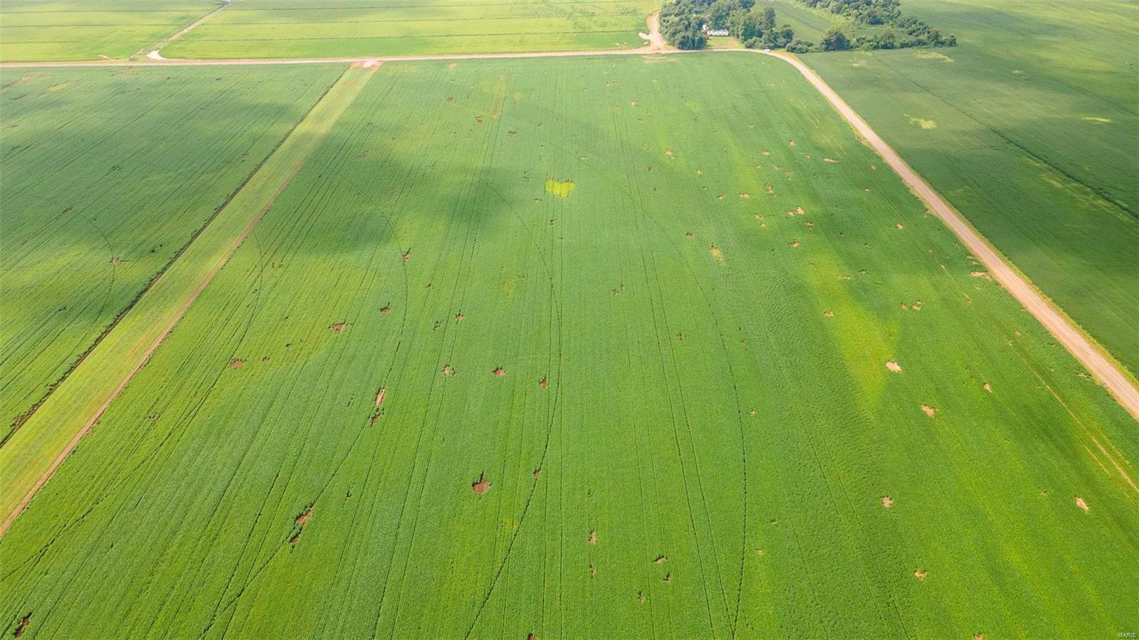 NA - Farm