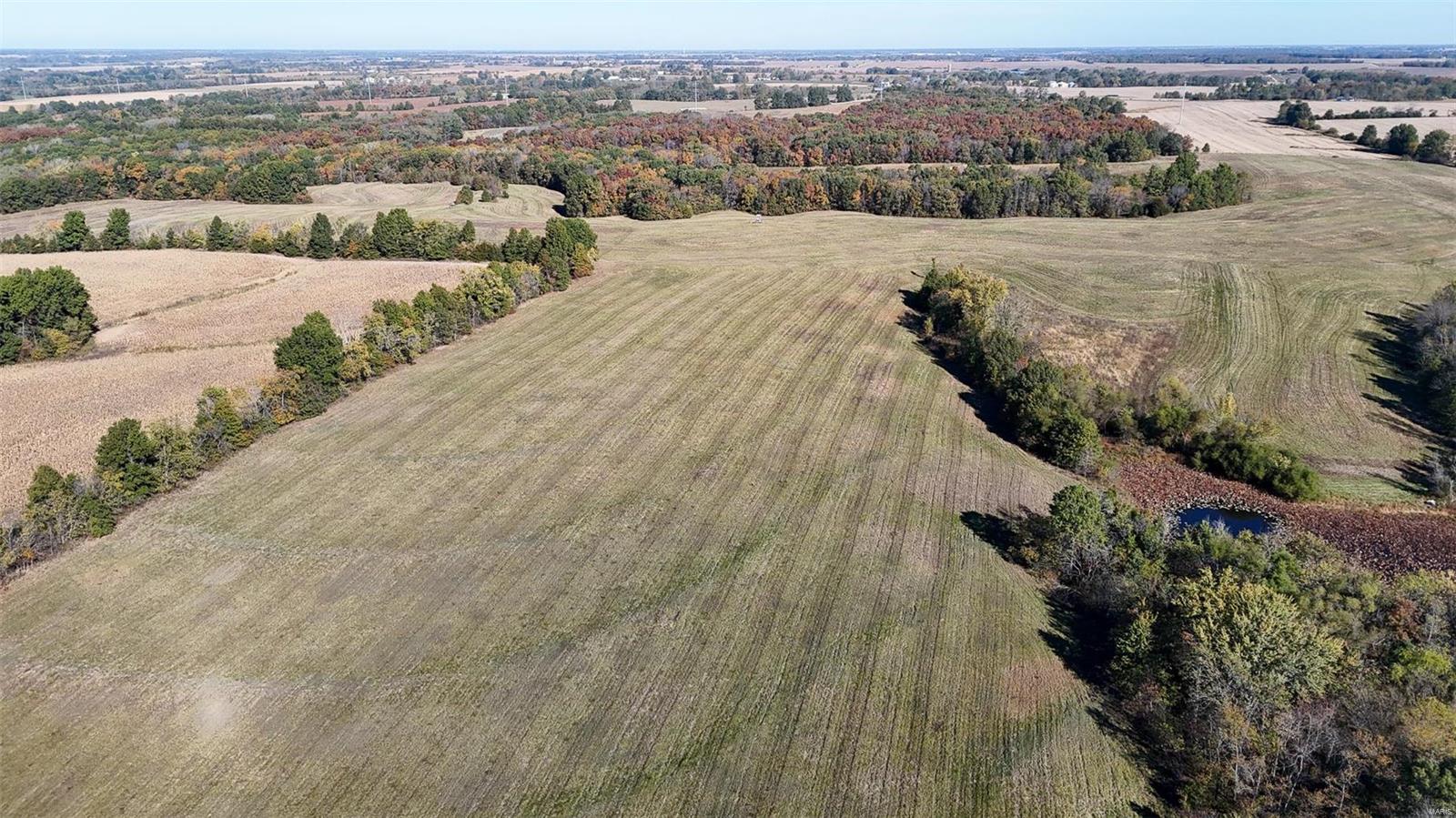 - - Farm