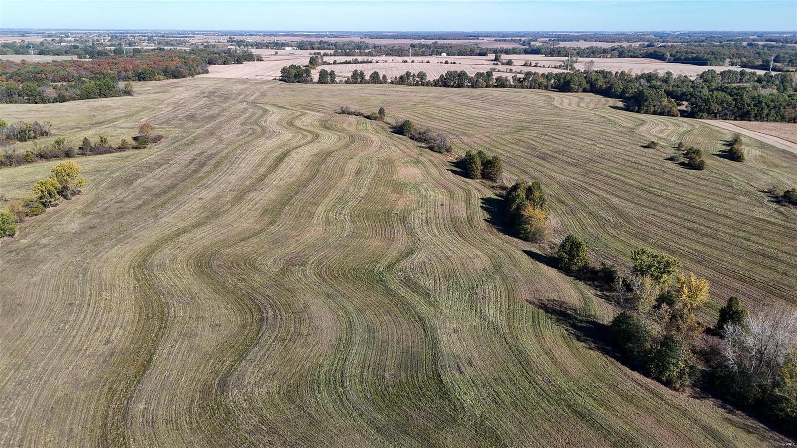 - - Farm