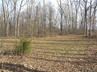 150 ACRE MOSTLY WOODED TRACT offers prime Deer & Turkey Hunting!  Food plots!  Private and secluded with breathtaking countryside views!  Nice ridge tops, ATV trails!  Great Location with easy access from St. Charles County area!  Priced to sell at only $1,995 per Acre.