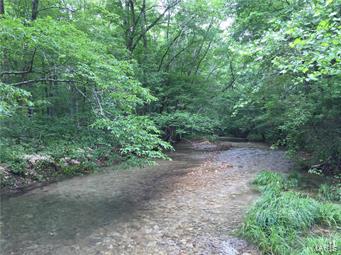 Beautiful 9.5 acres in Peola Acres. Great buildable acreage with Peola Branch running through the property, and also deeded access to Black River that comes with it. This would make great recreation ground to camp, swim, hike, or build that cabin you have always wanted.