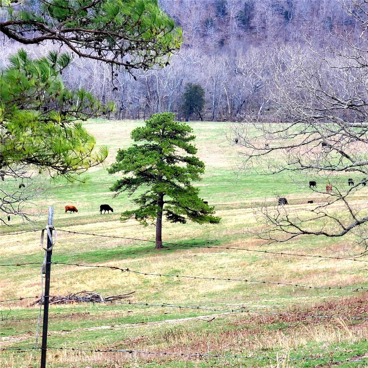 N/A - Farm