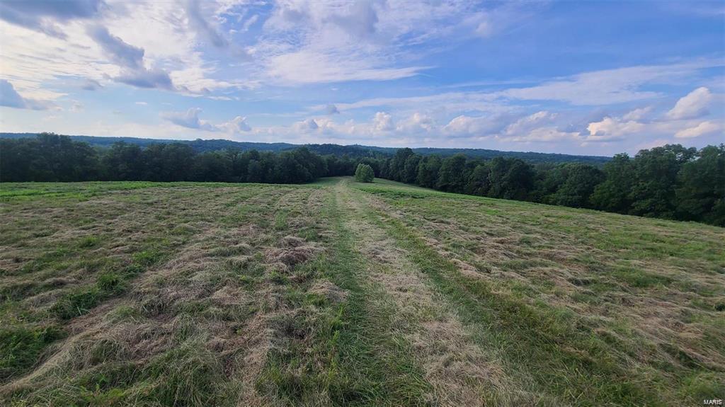 Welcome to your dream hobby farm! This incredible 10-acre lot offers the perfect opportunity for those seeking a peaceful countryside lifestyle. Situated in prime location this builder-ready lot provides ample space to create your own private oasis. With mixture of open meadow and mature hardwood timber, this property showcases the beauty of nature and offers a haven for wildlife enthusiasts. With amazing builder potential, this lot is ready for your dream home. Located less than an hour from St. Louis metro area, this property offers the perfect balance between rural living and urban convenience. Enjoy the tranquility the countryside while still having easy access to nearby amenities schools, and shopping centers.