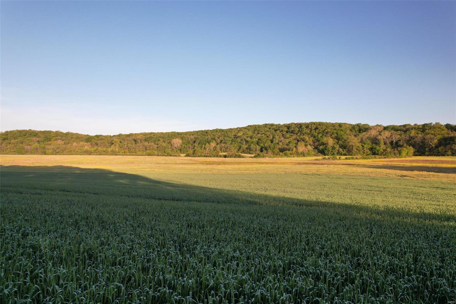 N/A - Farm