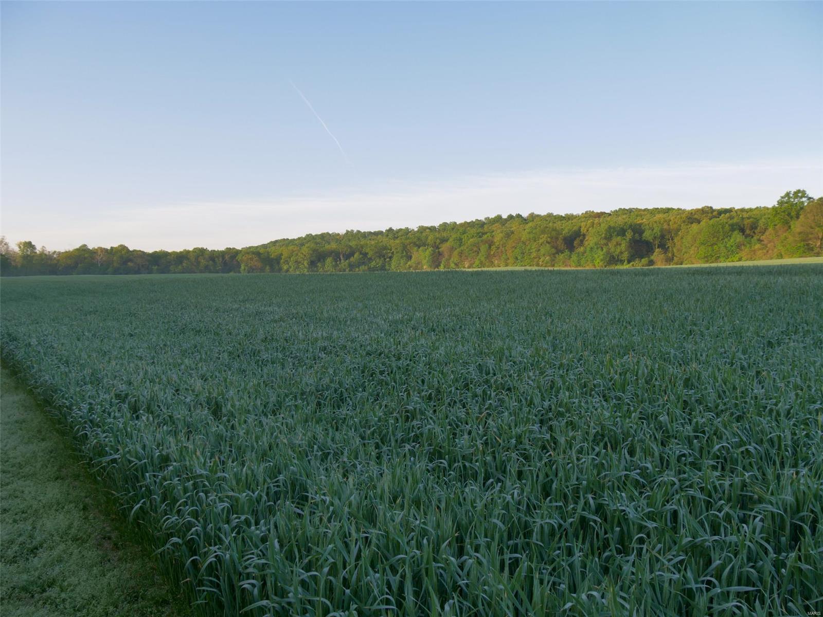 N/A - Farm