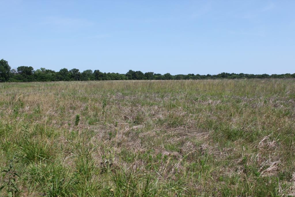 Hwy N - Farm