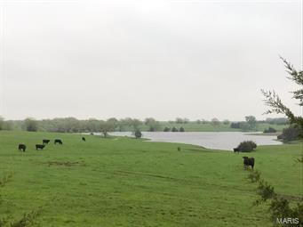 350+/- ADJOINING acres located in the heart of Mark Twain Lake Country, Monroe County, MO. Income producing land lease $15,000 per year.  Lease expiring in Oct. 2019.  Hard surface access to your front gate takes to playground with income.  Duck Hunt? 24+ acre lake plus another 5+ acre pond with bring all the water fowl you can handle! Prefer the two and four legged hunting, 37 acres of clustered & scattered woods (property abuts solid woods/Corp of Engineer property).  Road access from Highway 154 and Monroe County Road 477.  Income from pasture and recreation galore.