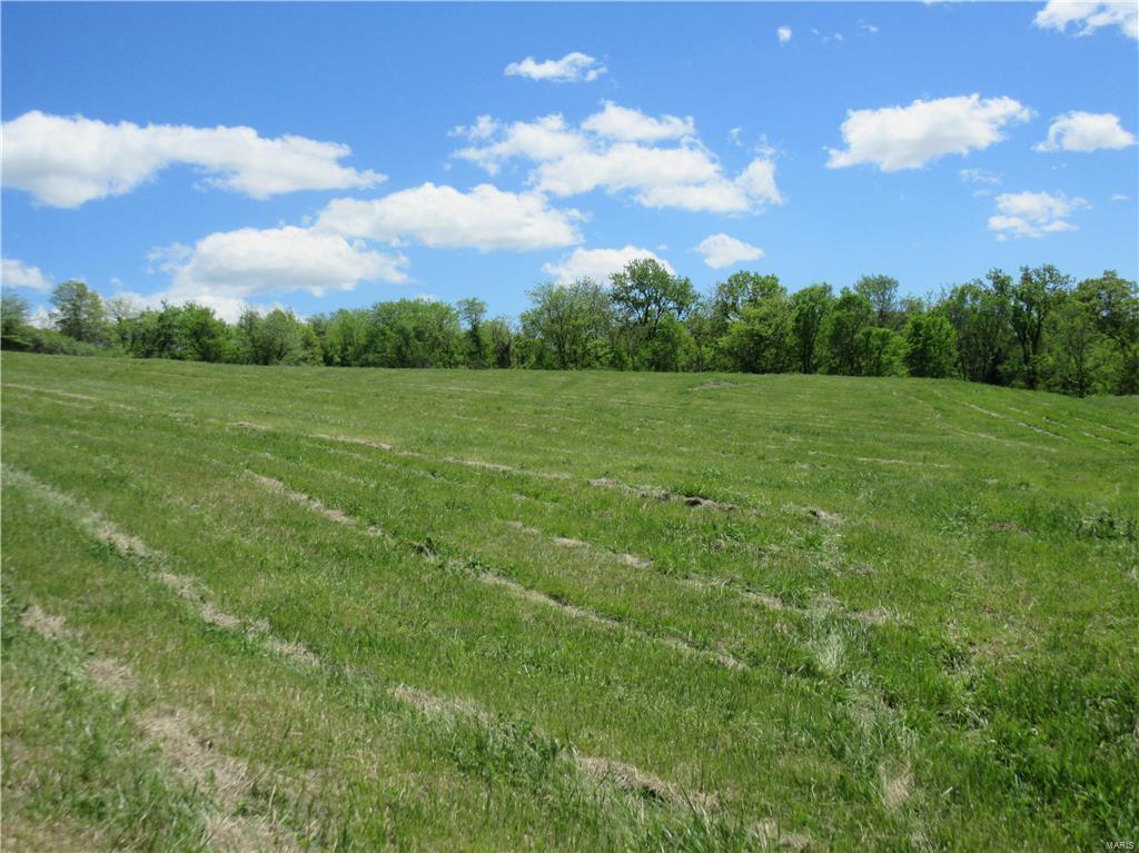 Spring Meadows - Land