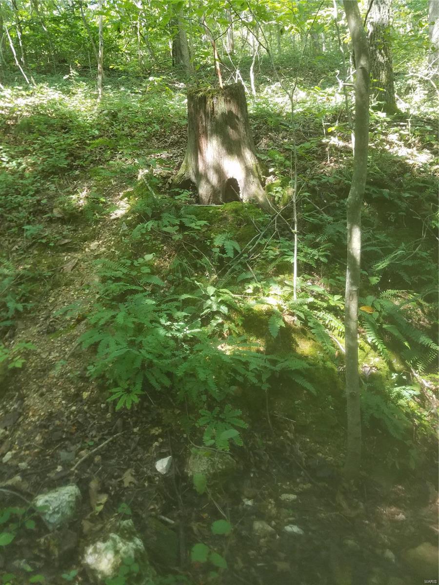 Quiet wooded acreage on county maintained gravel road. Almost 6 acres with small wildlife pond and clearing for camping or future building site.  Borders are marked and trail crosses the property from the gated entrance.  Electric line adjoins the property along the road.  Just past the back border with Onondaga Cave State Park.