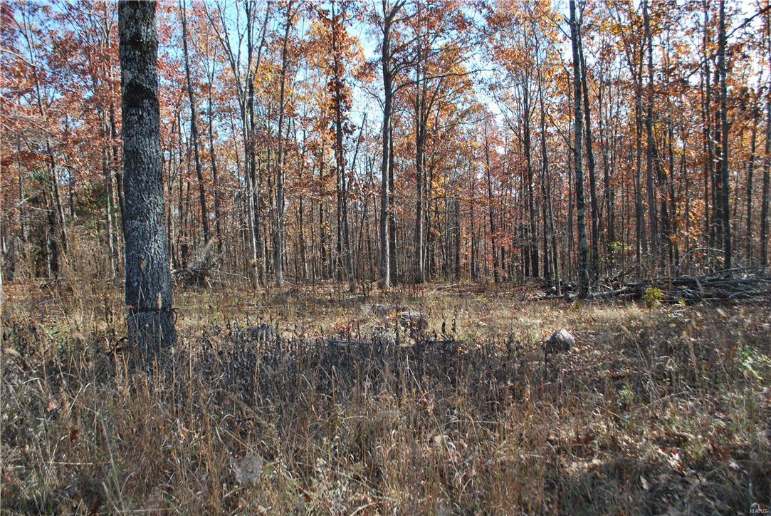 This 7.1 wooded acres sets on a county road with electric available and offers good turkey and deer hunting. The great location is near Montauk State Park, Akers Ferry, the off road park Flat Nasty, as well as riding stables, canoe rentals and rivers. This would also be a great place to build a dream home nested in the woods. Call today because at this great price, this property won't last long!