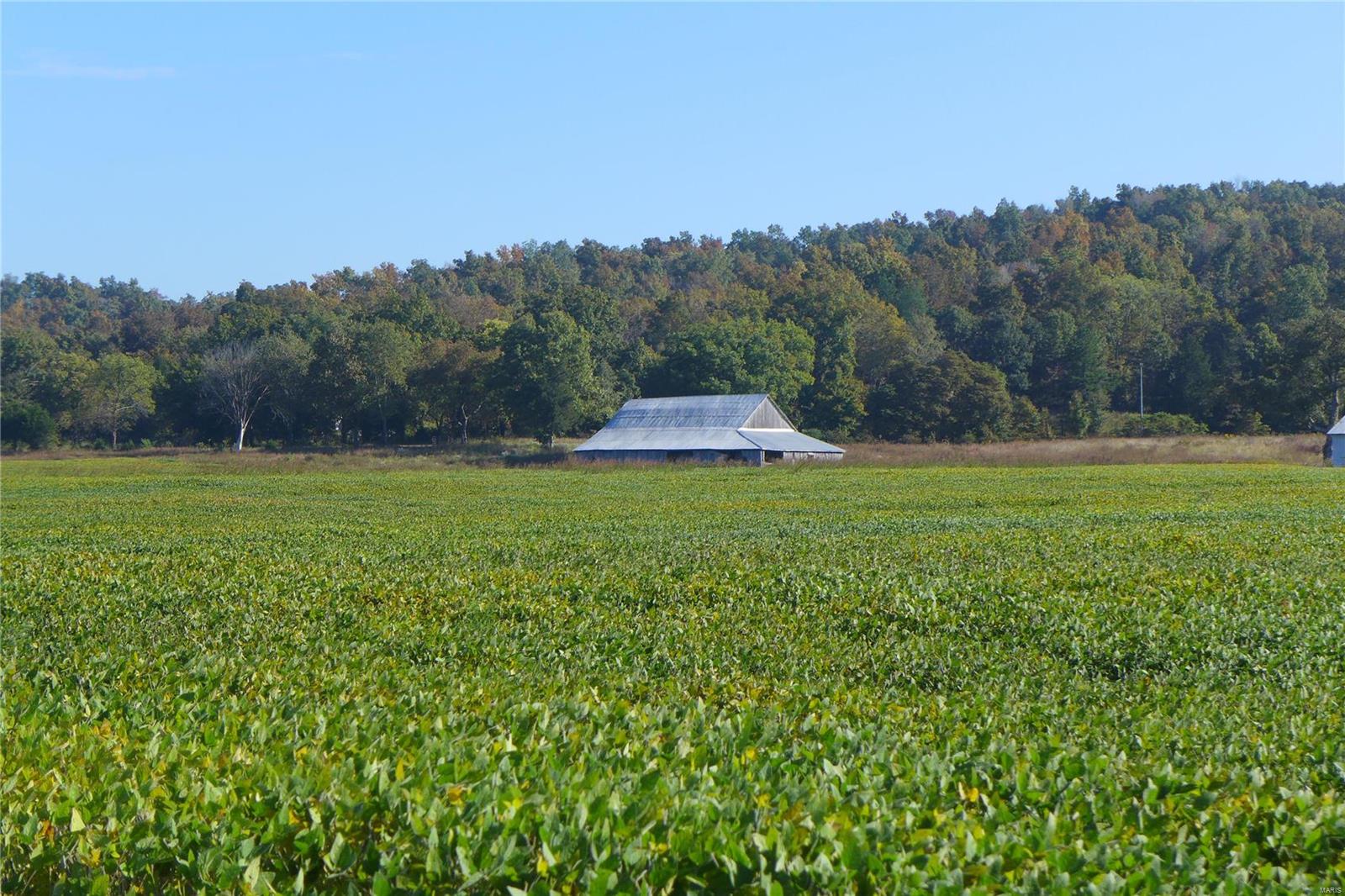 N/A - Farm