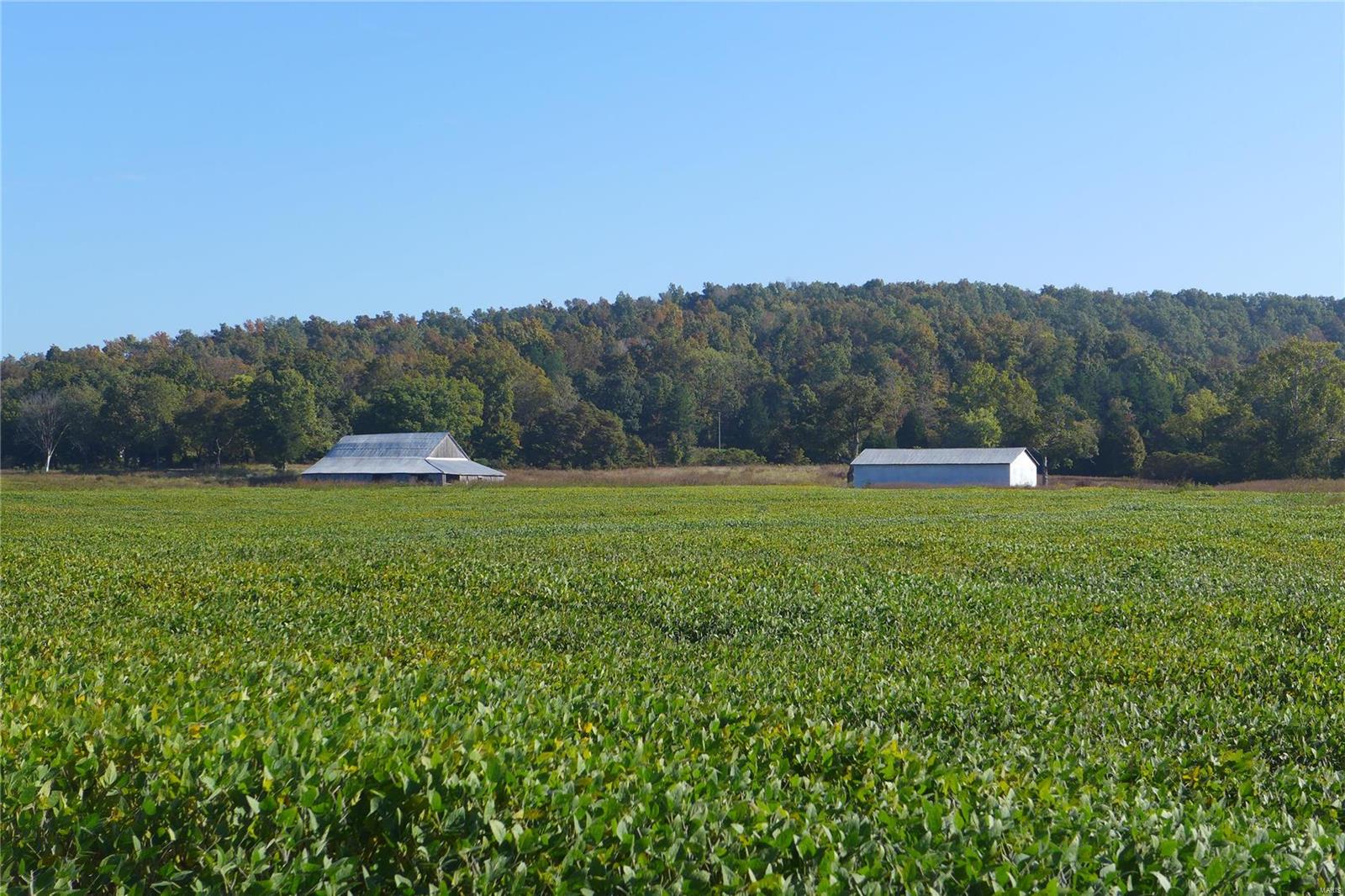 N/A - Farm
