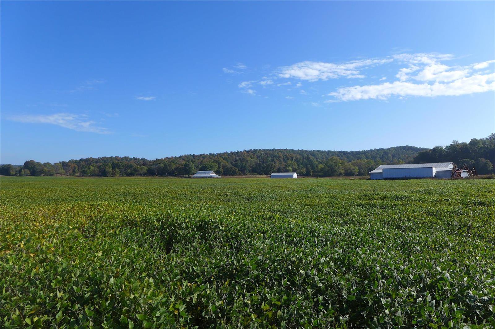 N/A - Farm