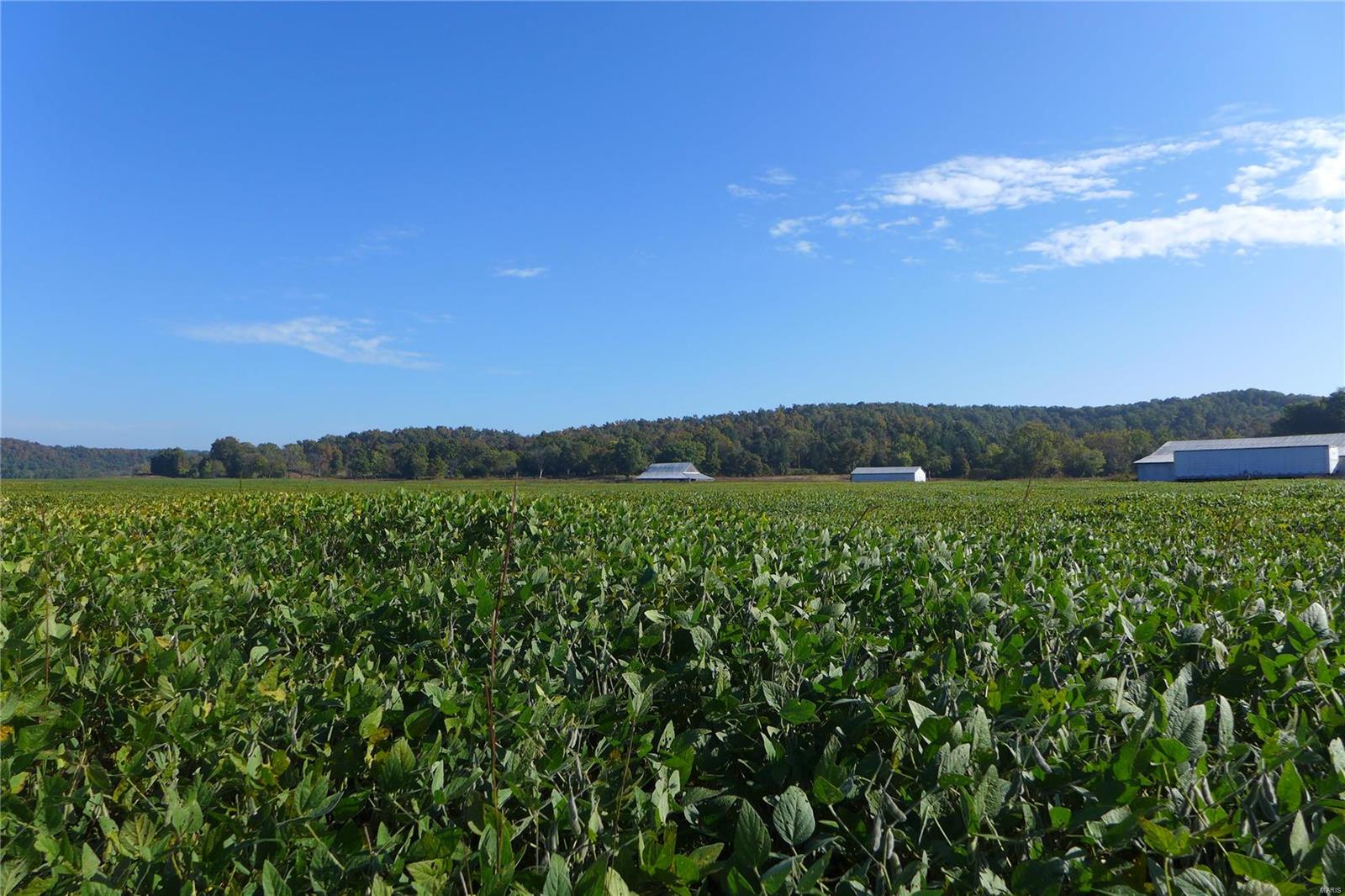 N/A - Farm