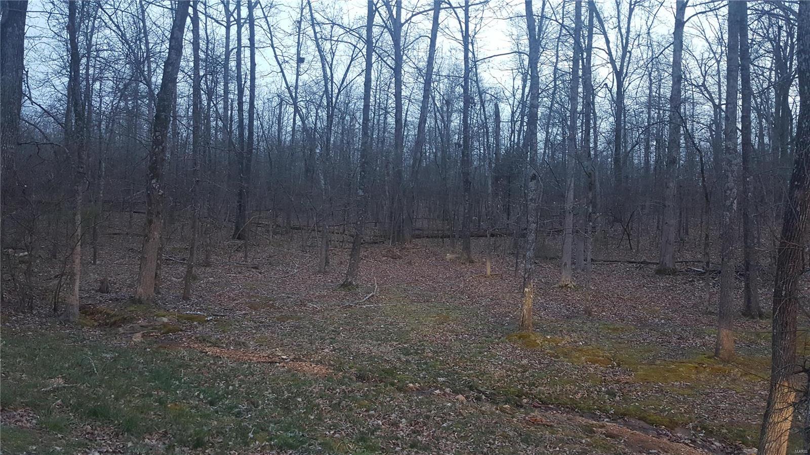 This is the building lot you've been looking for. A gently sloping wooded acre in a mature subdivision north of Poplar Bluff. Lake Lock Loma is a beautiful lake, with all boat docks community-owned with access for all landowners.