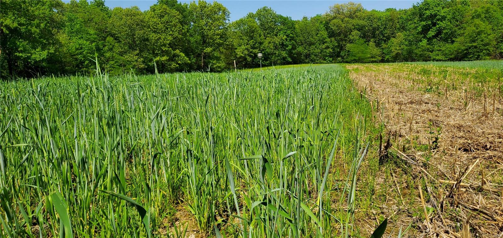 na - Farm