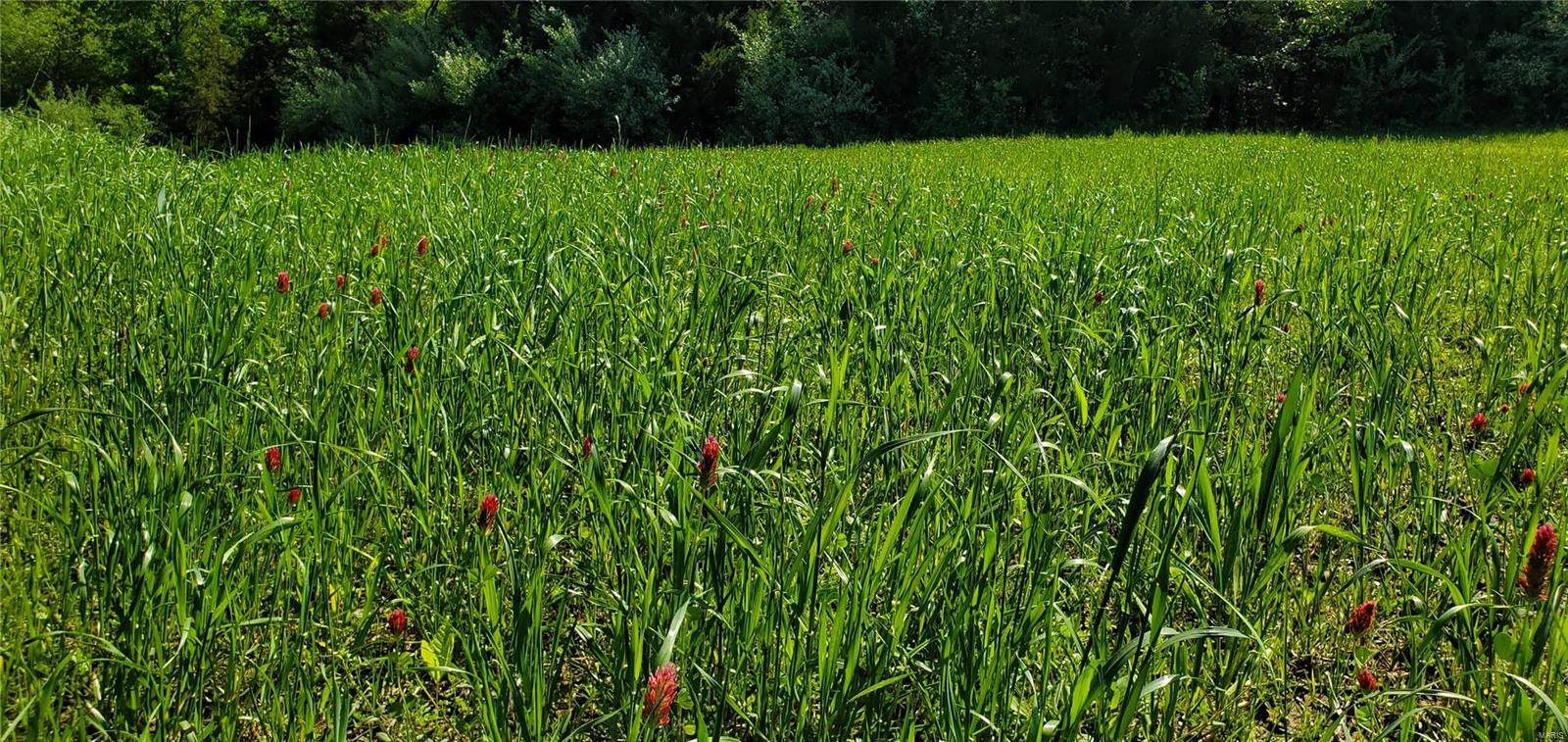na - Farm