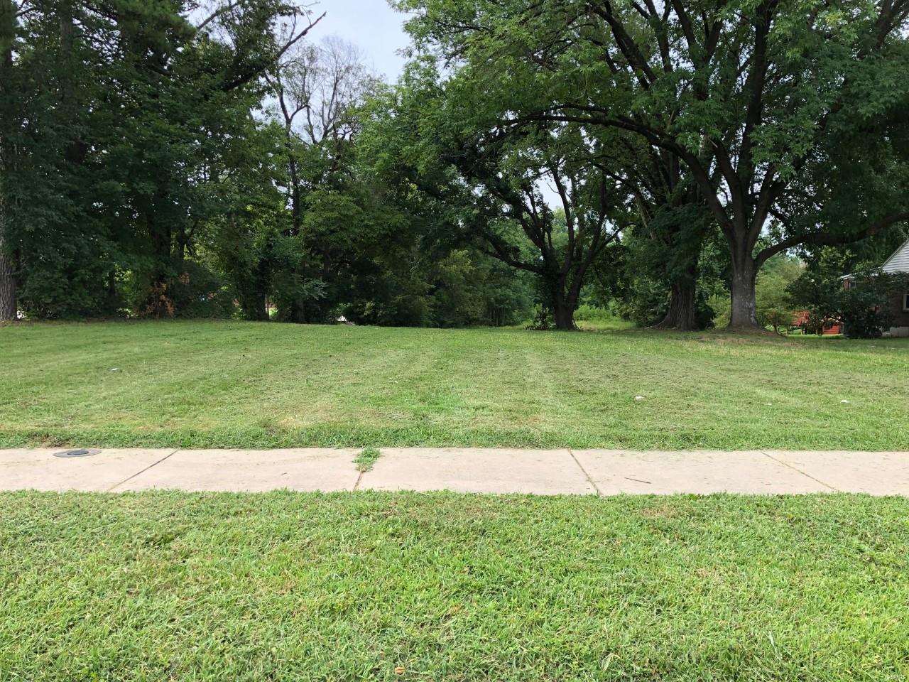LEVEL LOT on Wild Horse Creek Rd. Not located within a subdivision which means no restrictions.  The lot has been cleared of any structures so it is ready for your plans.  There are just enough trees for cover and plenty at the back of the lot for privacy. Located in Rockwood Schools and minutes from shopping, highways, entertainment, schools, restaurants, and trails.