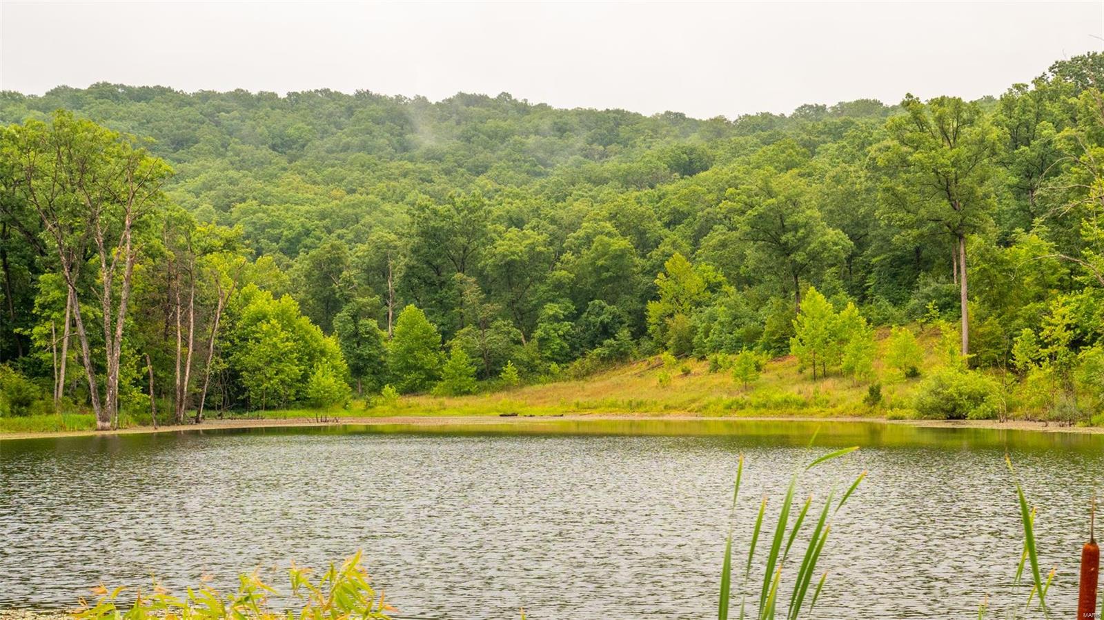 This beautiful mostly timber tract of 230 acres located in western Montgomery County is ready for new owners! These 230 acres have been split off the larger 442-acre tract.  This farm has a lot to offer including an 3-acre stocked lake, established water well, established electricity, beautiful homesites, mature timber, and some of the best whitetail and turkey hunting you can find.  If incredible hunting and good access are part of your checklist, this farm has it! The 3-acre stocked lake sits just below one of the many timbered draws that this farm is so proud to show off. Stocked with largemouth bass and crappie, this hidden lake will give you the recharge you desire! With electricity and water already established, this farm is ready for your dream home or hunting cabin you've been waiting for! These 230 surveyed acres are a must-see!  Just 20 minutes from downtown Hermann MO., you have all the comforts of town and still experience your rural setting.