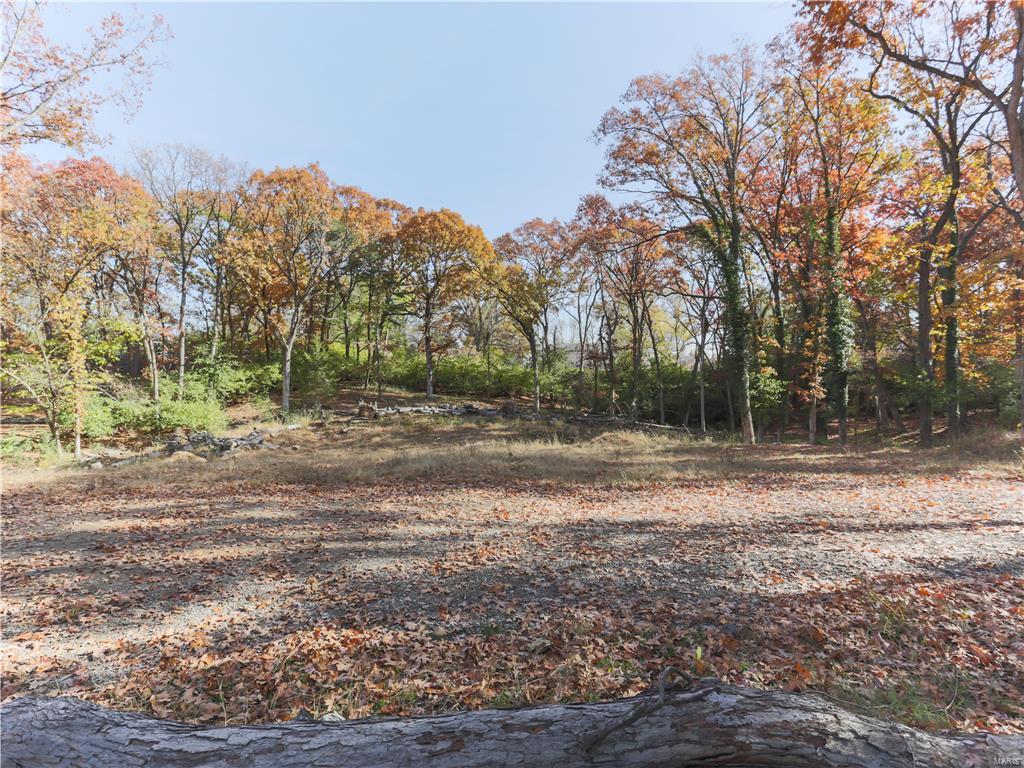 Carondelet Commons - Land