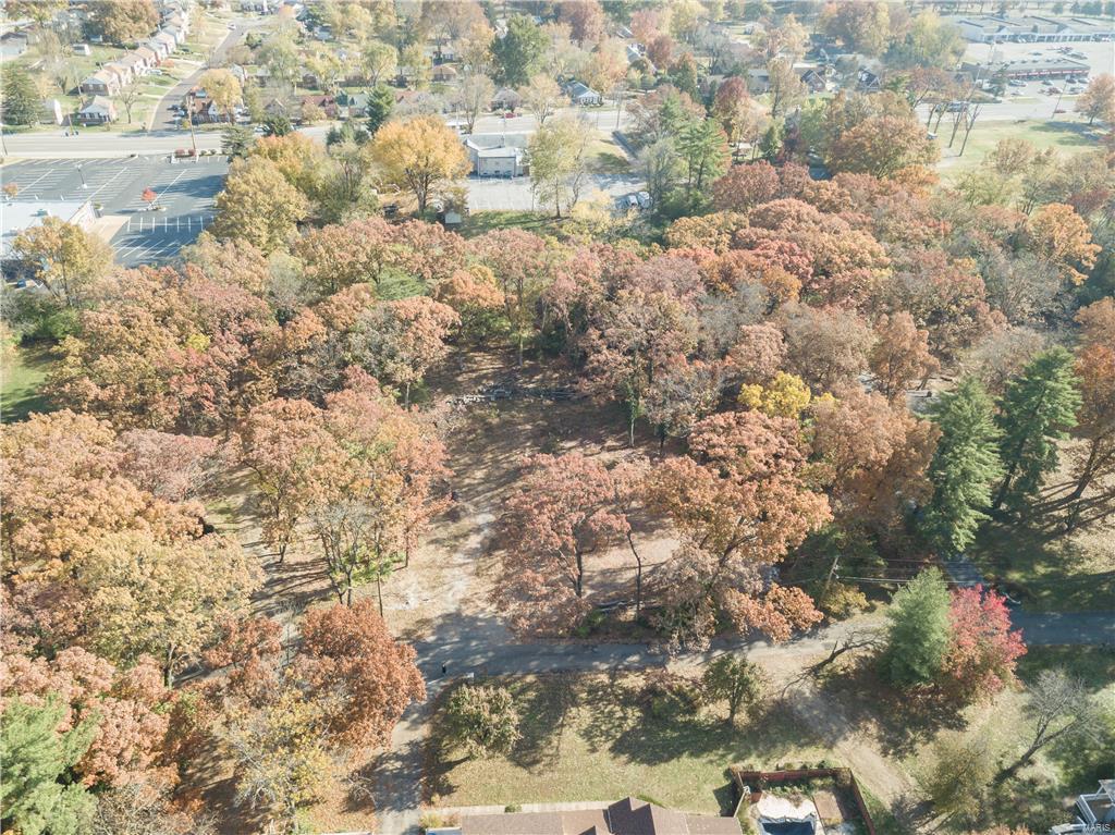 Carondelet Commons - Land