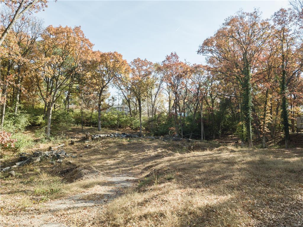 Carondelet Commons - Land