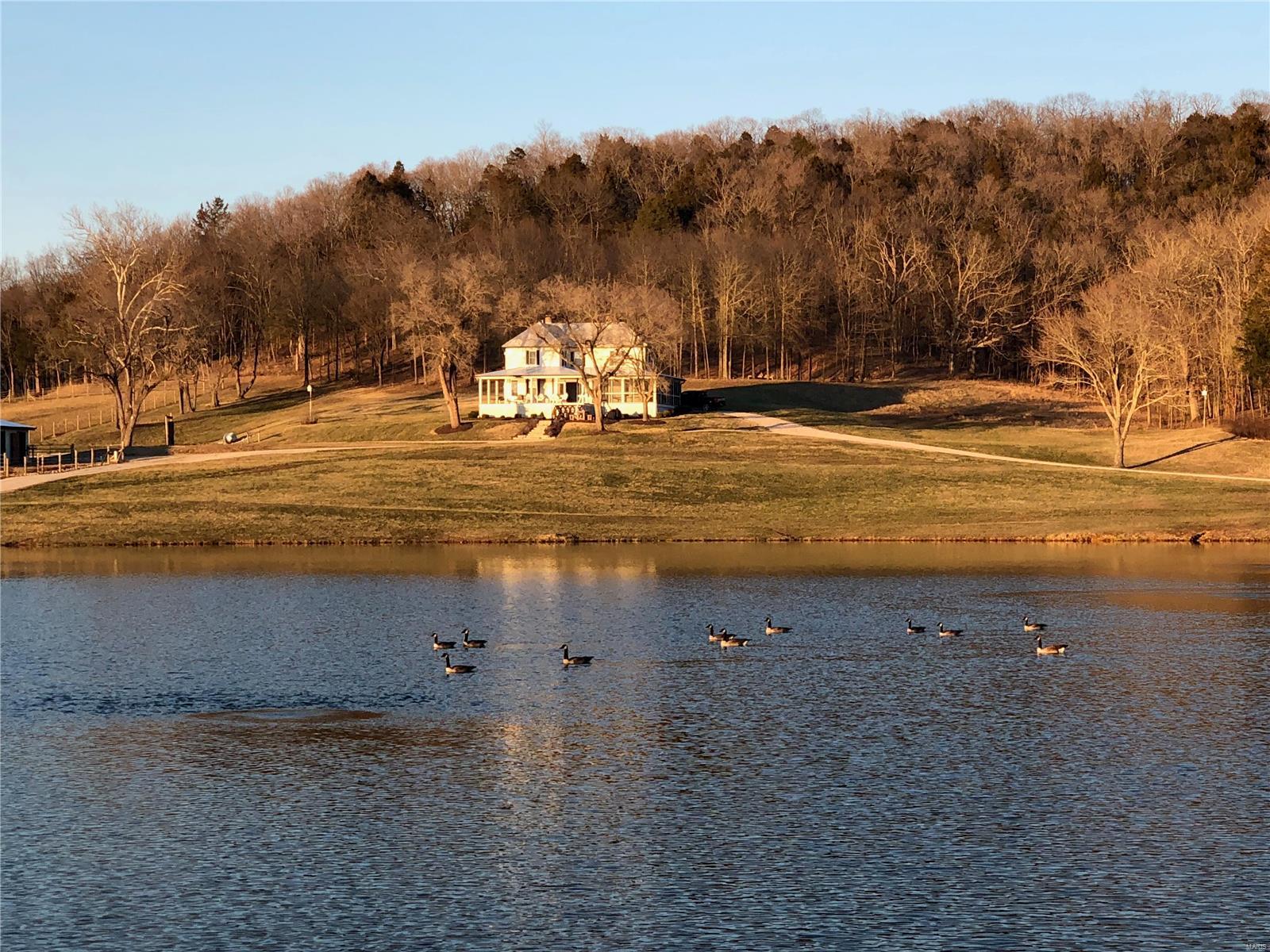 Brennan - Farm