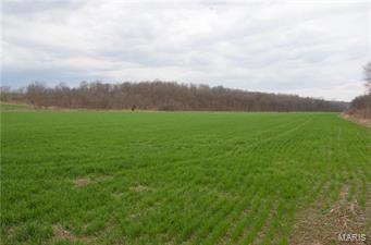 N/A - Farm