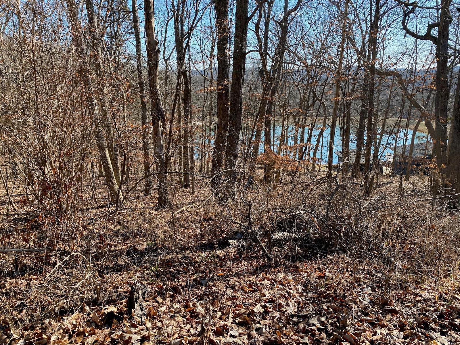 It is rare to find a fantastic lake front lot at a great price like this !  Grab this one soon and make it yours !  
Beautiful lake front wooded lot in the private subdivision of Lakewood Hills.     You can use your builder or ours!    Per seller there is already Community water and electric along the road.   Just minutes from downtown Eureka and downtown Pacific. Subdivision has Fishing Lake, Swimming Lake, Picnic Area, and located just down the road from almost 500 ACRES of Missouri Conservation Land! Stables for Horse Boarding are located in the area. Just a short distance to Highway 44, You'll have the best of country living but the convenience of being within an hours drive of most everyplace in the City. You have the best of all worlds here!