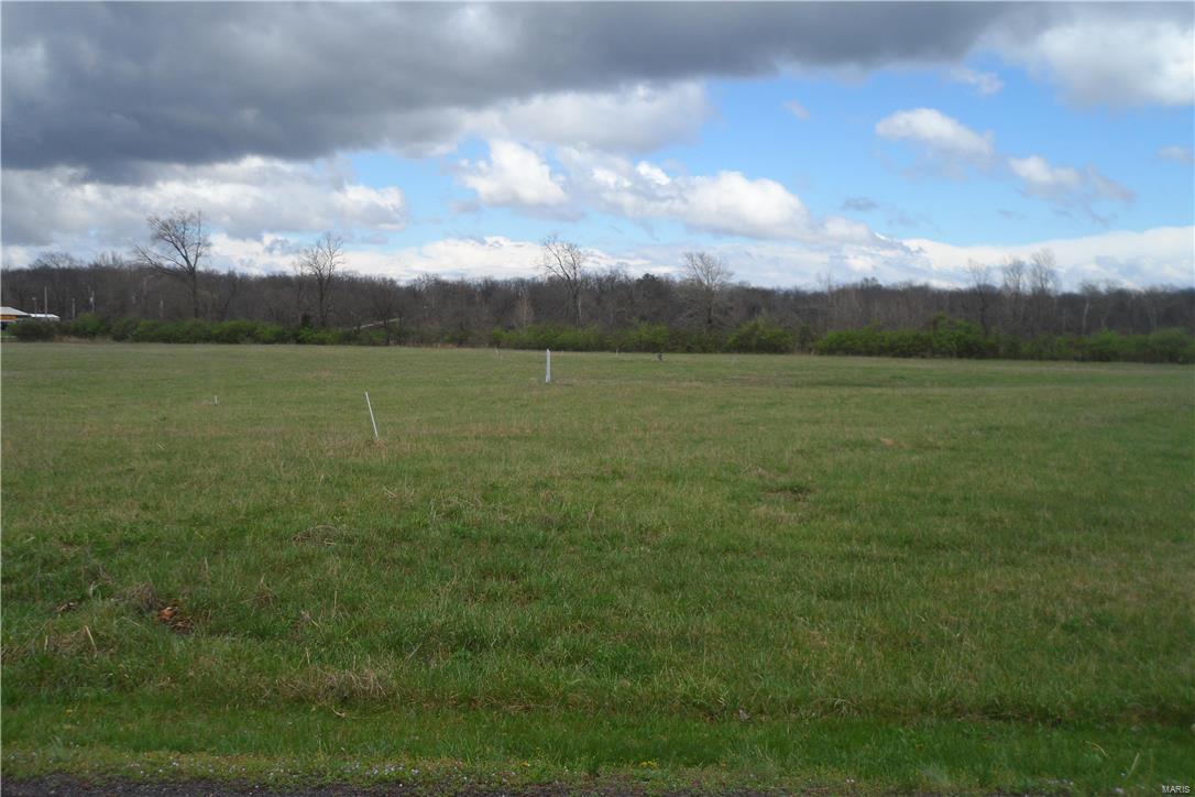 10 Acres just outside Farmington in Beautiful St Francois Hills Subdivision.  Lots of gorgeous homes in this subdivision.  Convenient location to town.  Property is priced to sell!  It happens to be located in a Flood Zone and would require flood insurance or possibly some fill dirt.  Great for commercial use.   Fronts on Hwy 221.