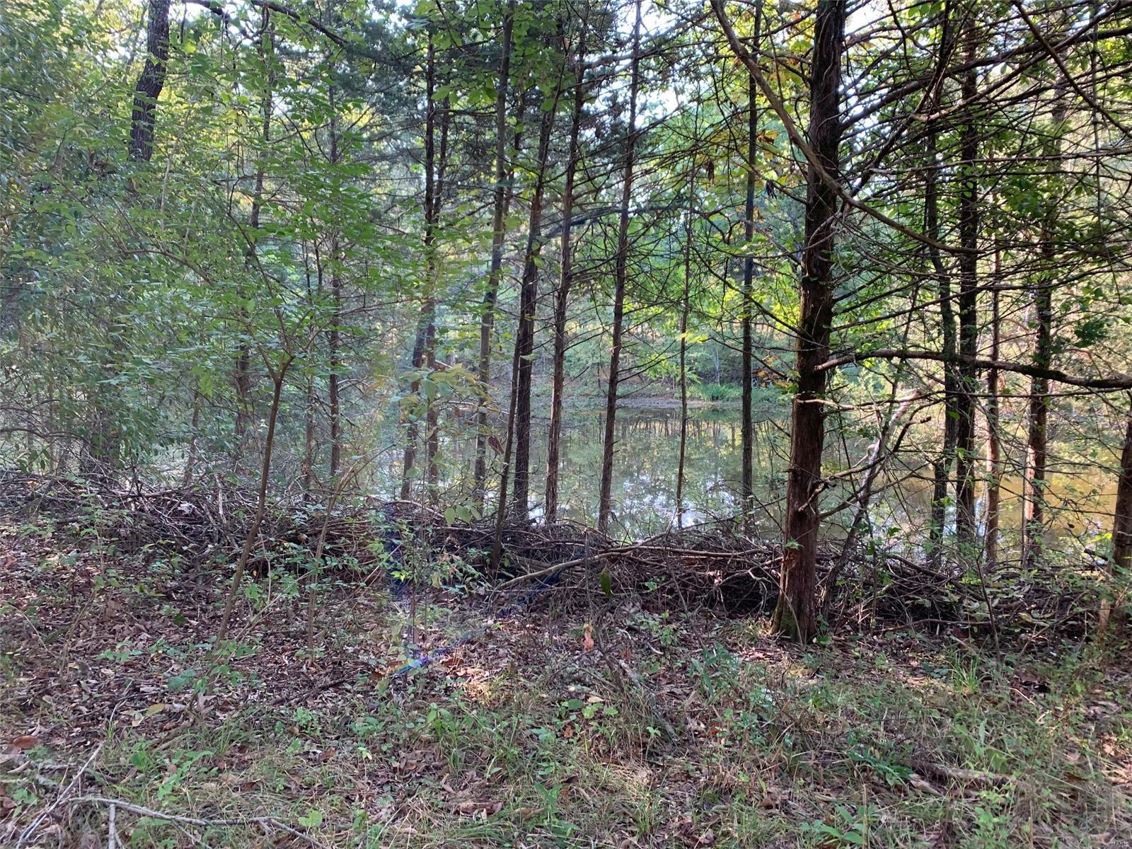 29 acres m/l just off blacktop! Features of this property include: heavy rolling solid timber that has not been logged, timber is mainly white oak, pond, small shed and utilities easily accessible for the new owner. Ideal building spot!!!  This property is just waiting for the idea owner for a recreation tract or a building spot. Easy access to St. Louis via Old Hwy 40 & Interstate 70.