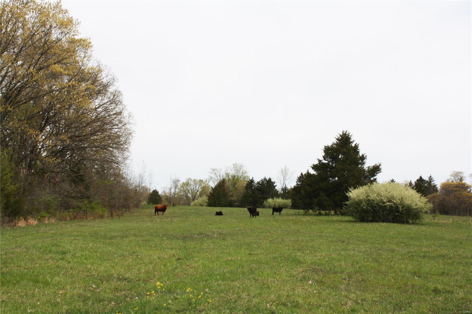 None - Farm