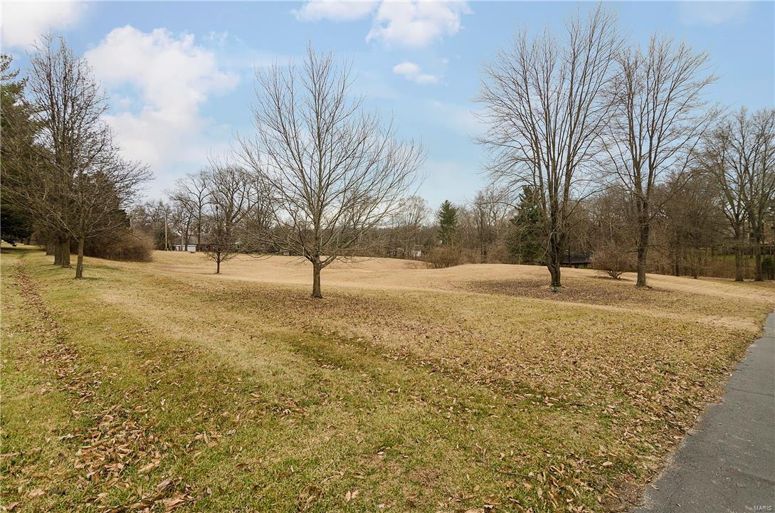 If your client does not want to buy 'someone else' dream estate, they can build their own custom home using the builder of their choice-come see this beautiful level 1.8 acre home site in desirable, convenient Ladue School District.
