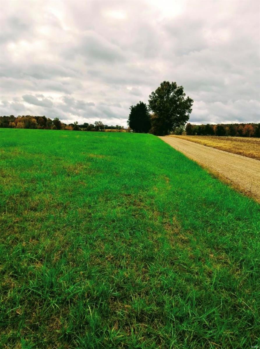 This 40 acre lot is as big as the dreams you can make a reality on it. This beautiful land can become the sight of your country home situated in a school district that just won a National Blue Ribbon for it's Educational Prowess. Alternately this property sports open spaces for a blind or large mature trees for a tree stand to make this your hunting paradise. Whatever your dream for land in the country this property is such to capture your heart at first sight.