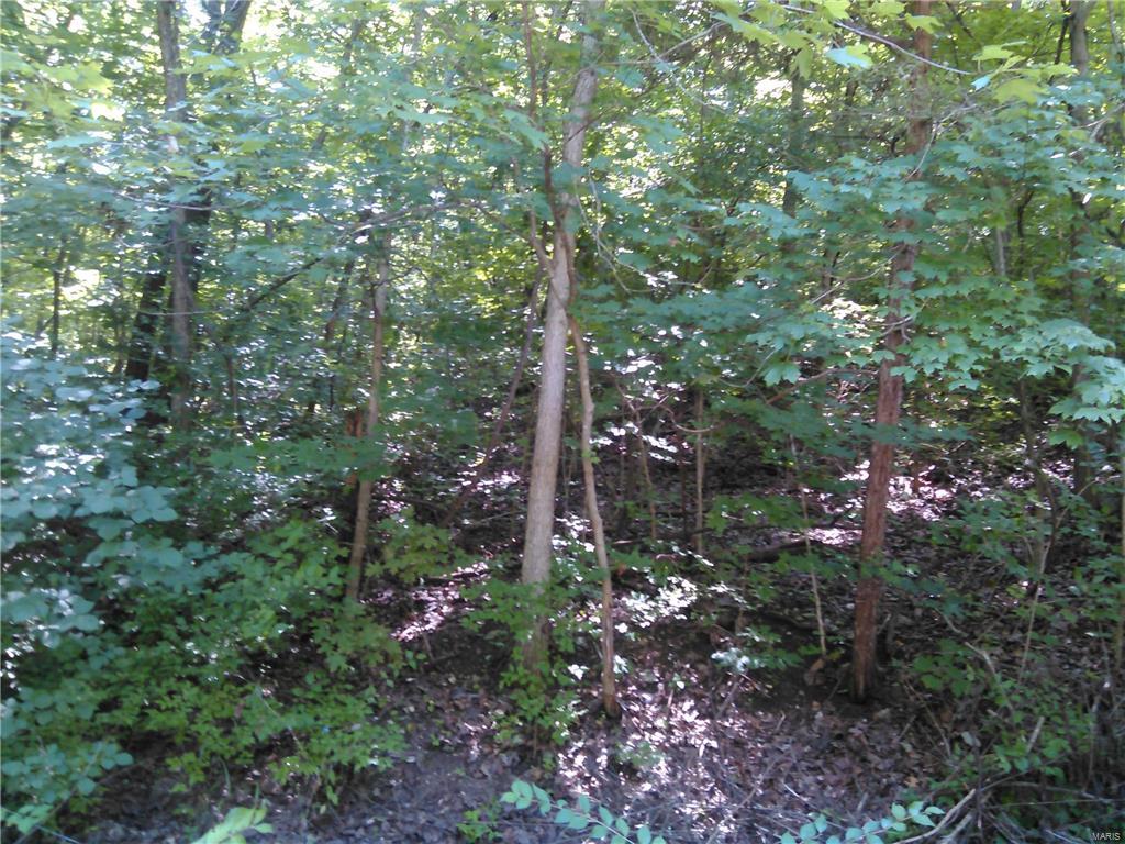 Don't miss this opportunity to own this lot. this is a one of a kind parcel with the view of awesome sunsets. Vacant land Zoning Change Req'd