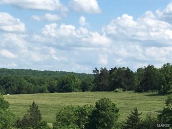 160 Acres in Texas County, Missouri under 2 hours from St. Louis County. Unbelievable clover and alfalfa fields. Fenced and cross fenced. Live water creek with great whitetail deer area and loaded with turkey and due to the habitat the parcel even has some quail.  Great hunting with income potential. Property can be subdivided into Two 80 acre tracts. Owner willing to finance with 30% down. Call for Terms.
