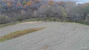 None - Farm