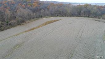 None - Farm