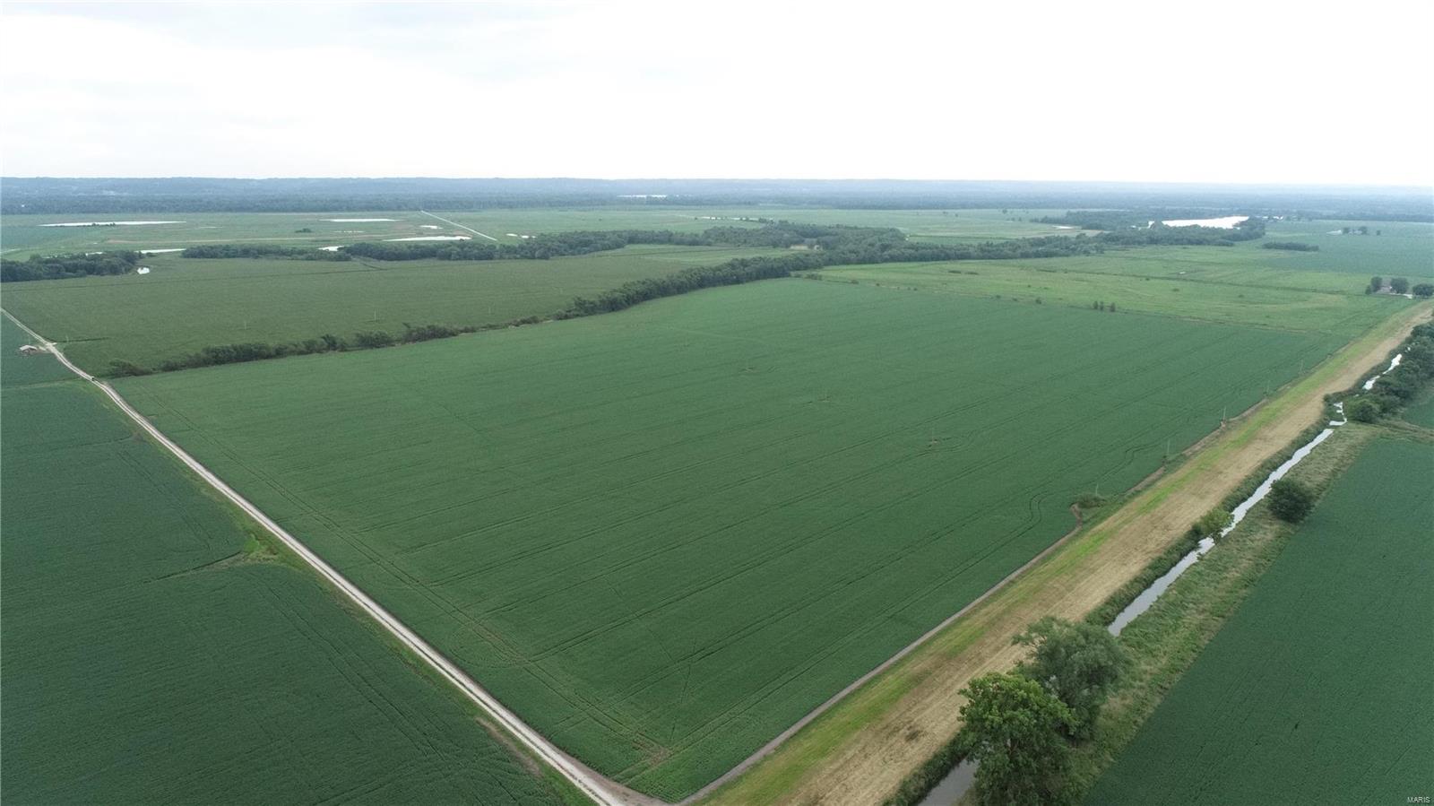 - - Farm