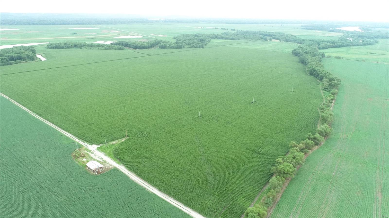 - - Farm
