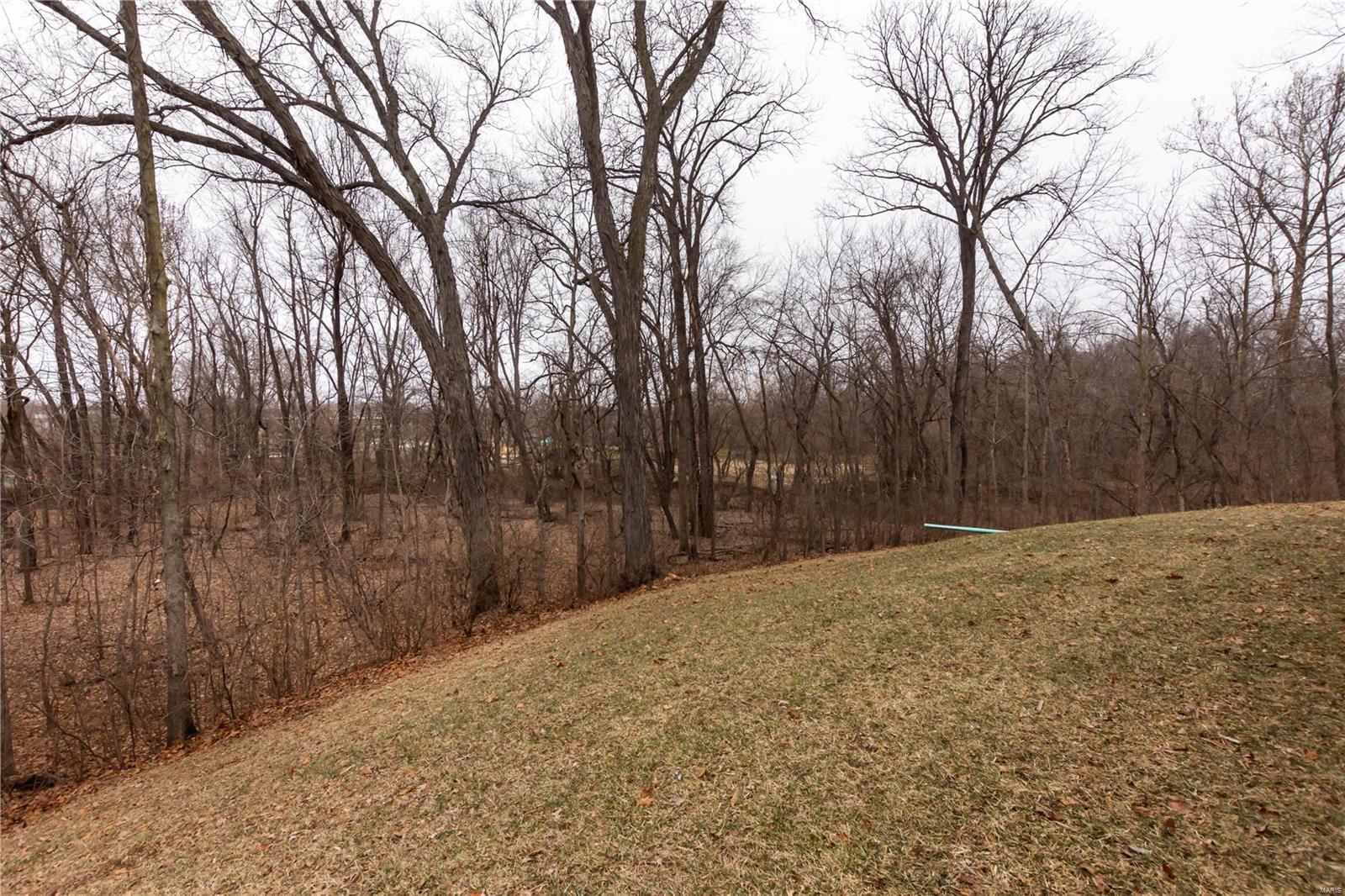 Bluffs at Dames Park - Residential